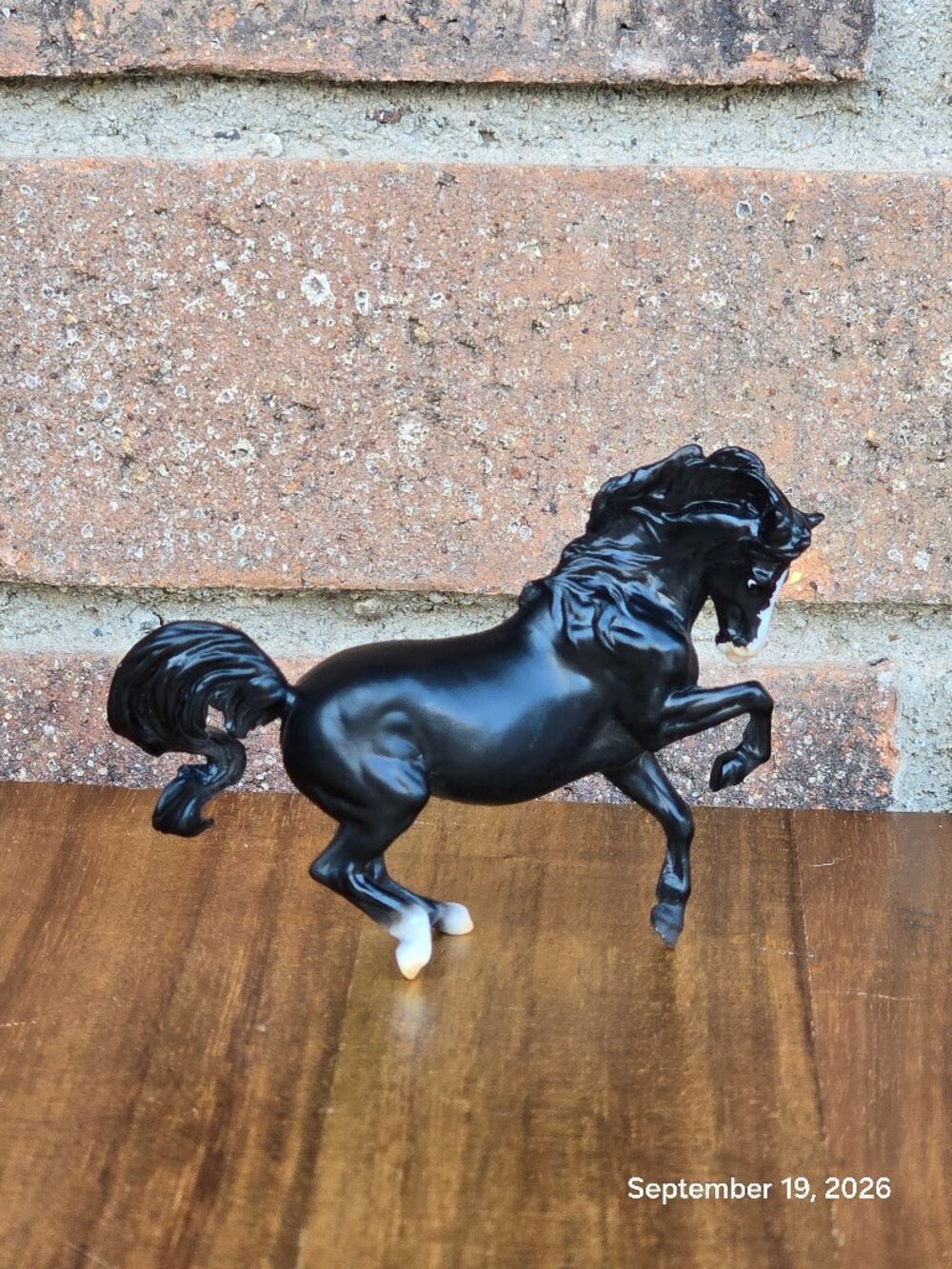 Breyer Stablemate Black Connemara Mare - 70th Anniversary (INV396)